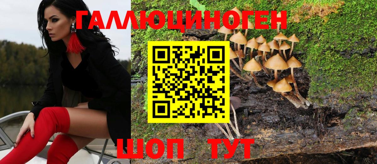 Галлюциногенные грибы MAGIC MUSHROOMS Калач-на-Дону